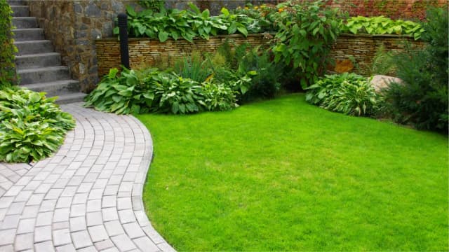 Why Choose Us / FAQs