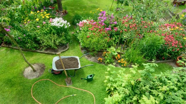 Fertilisation & Soil Conditioning